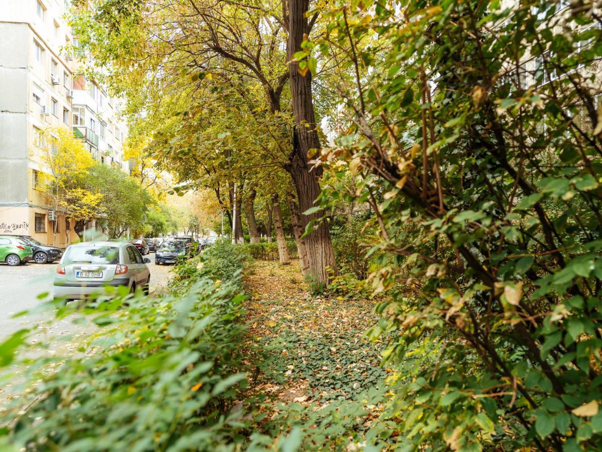 Woody - Cozy And Quiet Place Near Moghioros Park Bucharest Exterior photo